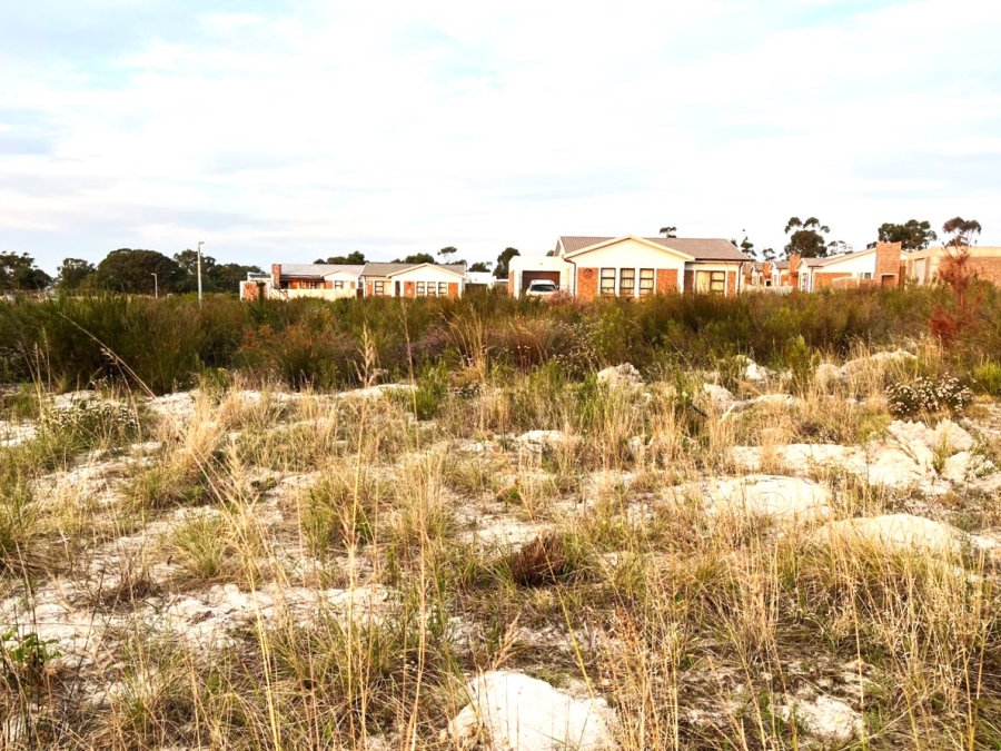 Commercial Property for Sale in Albertinia Western Cape